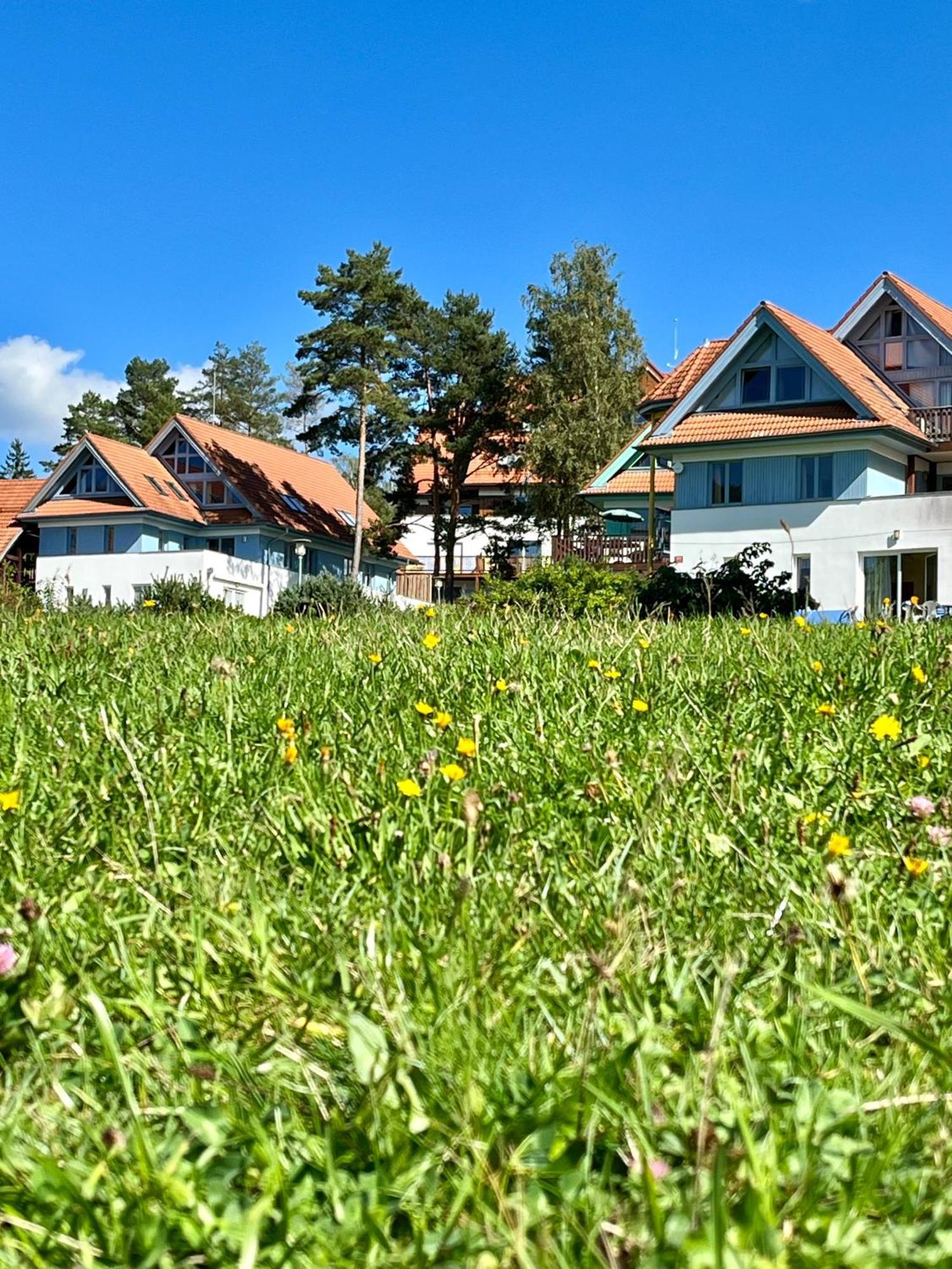 Lipno Beach Apartment Lipno nad Vltavou Buitenkant foto